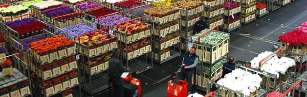 Denrées périssables Denrées périssables